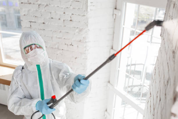 Best Mold Remediation for Rental Properties  in Franklinton, NC