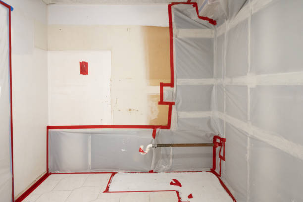 Mold Remediation for Rental Properties in Franklinton, NC